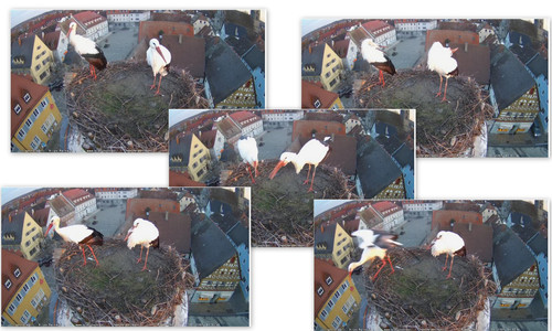 Bilder.jpg