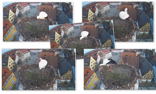 Bilder1.jpg