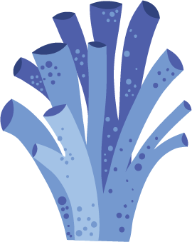 Layer 2.png