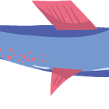 Layer 5