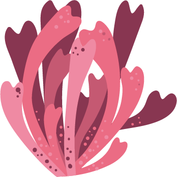 Layer 3.png