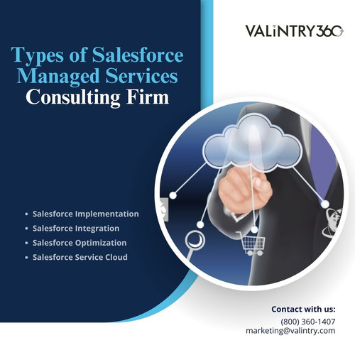 Types of Salesforce Managed Services Consulting_ Firm.jpg