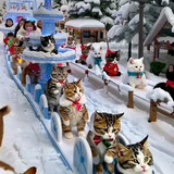 🐈🐈🐈🐈
