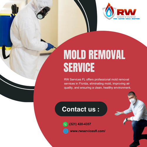 Mold removal service.png