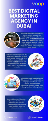 Creative & Performance-Based Digital Marketing Agency Dubai.jpg