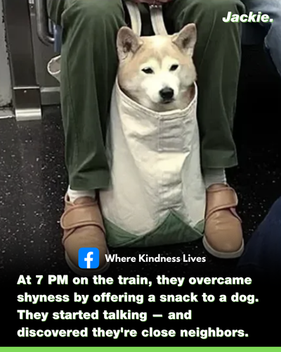 28.png