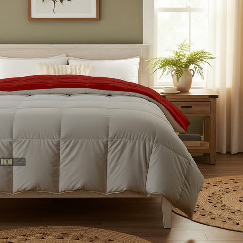 Burgundy Silver (20).jpg