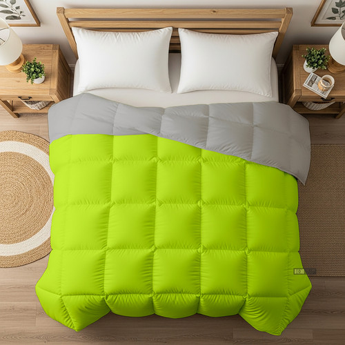 PArrot Silver (26).jpg