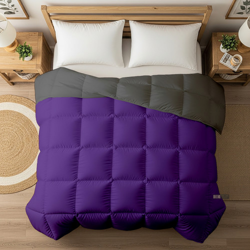 Purple D Grey (26).jpg