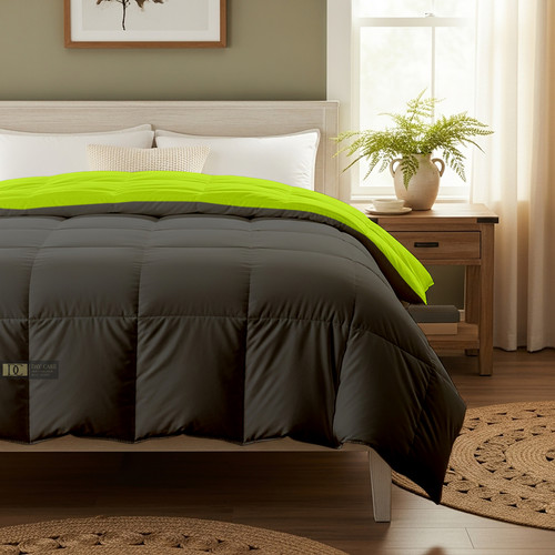 Parrot D Grey (20).jpg