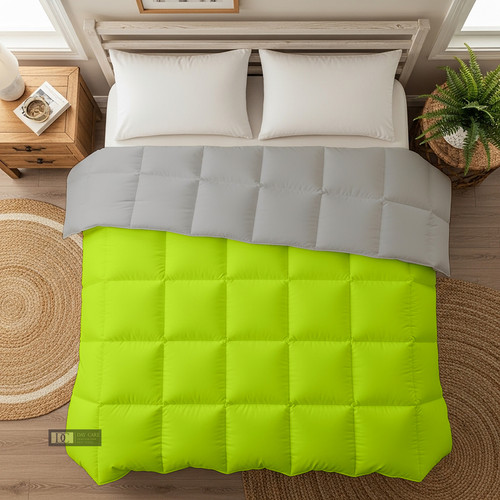 PArrot Silver (21).jpg