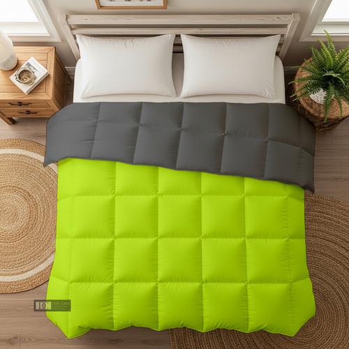 Parrot D Grey (21).jpg