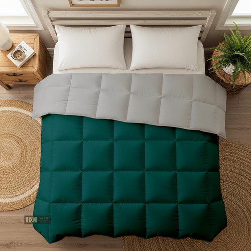 Teal Silver (21).jpg