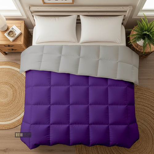 Purple Silver (21).jpg