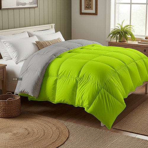 PArrot Silver (24).jpg