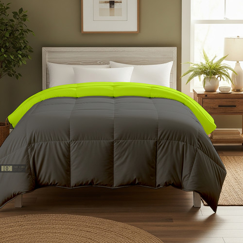 Parrot D Grey (17).jpg