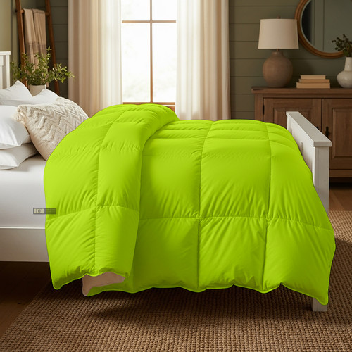 PArrot Silver (27).jpg