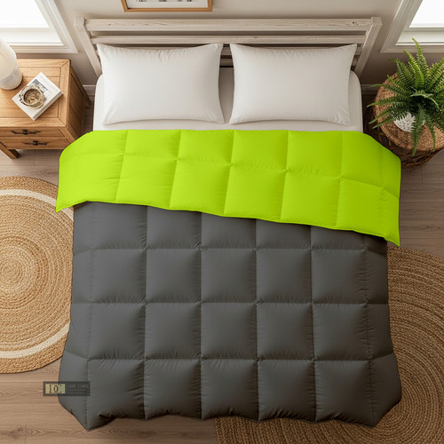 Parrot D Grey (22).jpg