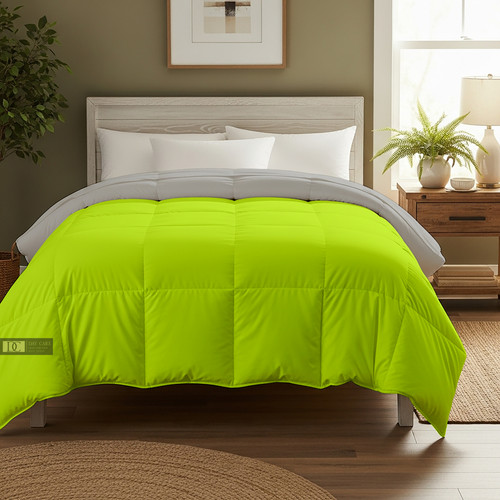 PArrot Silver (18).jpg