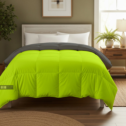 Parrot D Grey (18).jpg