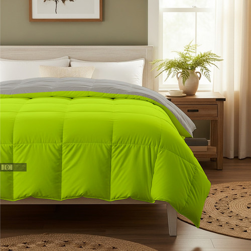 PArrot Silver (19).jpg