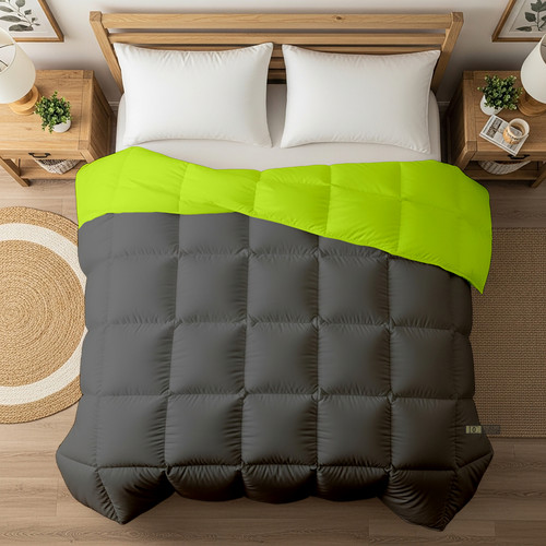 Parrot D Grey (25).jpg