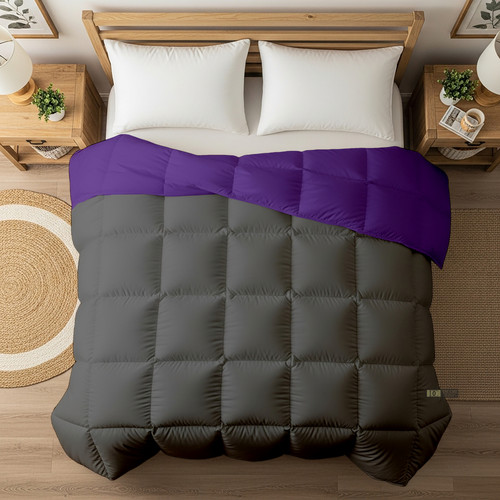 Purple D Grey (25).jpg