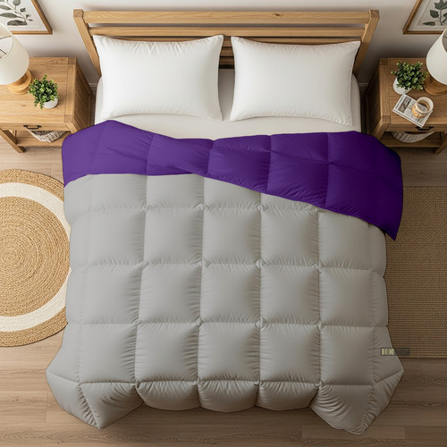 Purple Silver (25).jpg