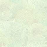 aquaticspa bg1