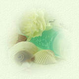 aquaticspa pic1