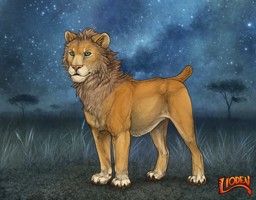 lion 794251177759.png