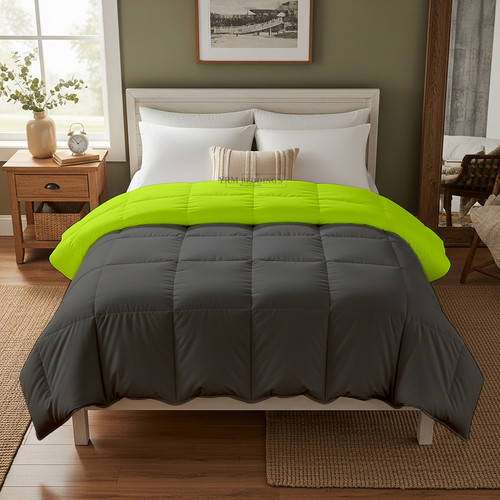 Parrot D Grey (7).jpg