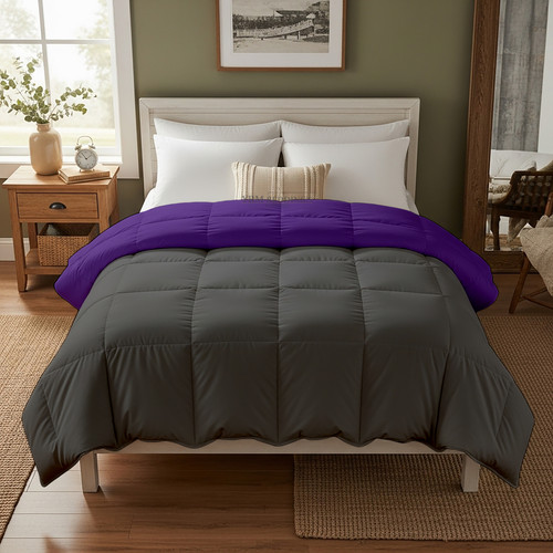 Purple D Grey (7).jpg