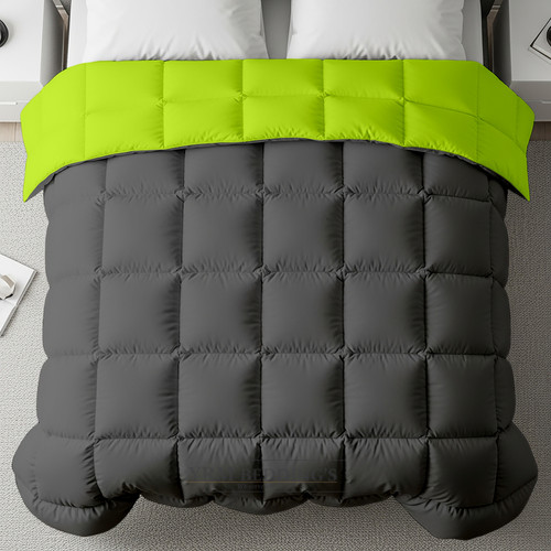 Parrot D Grey (9).jpg