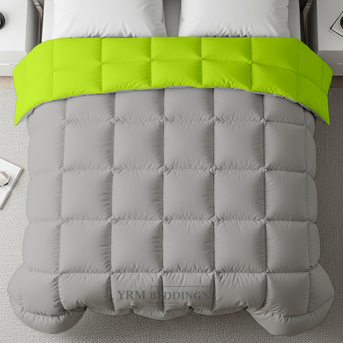 PArrot Silver (9).jpg