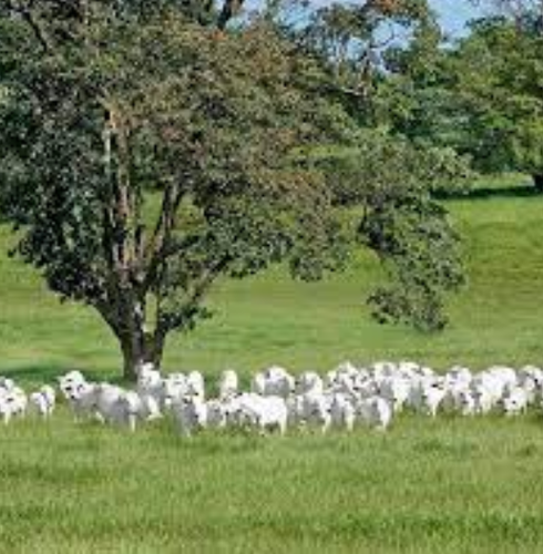 Screenshot 2025 11 14 151817.png