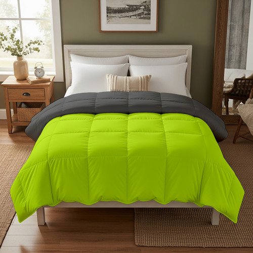 Parrot D Grey (8).jpg