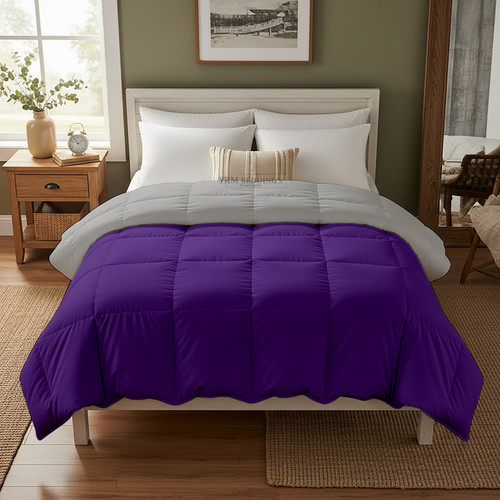 Purple Silver (8).jpg