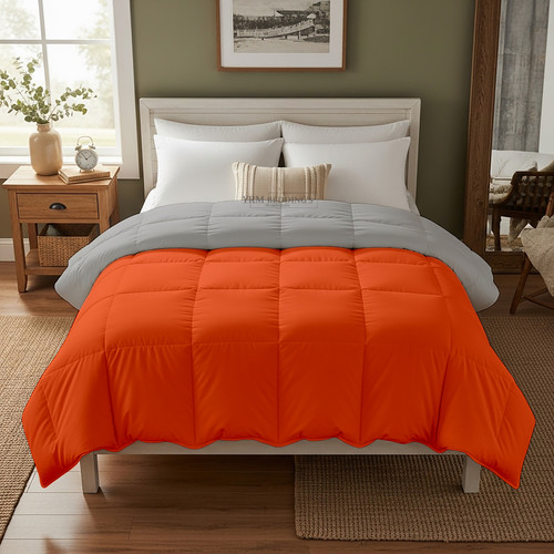 Orange Silver (8).jpg