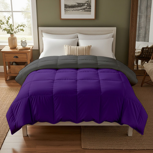 Purple D Grey (8).jpg