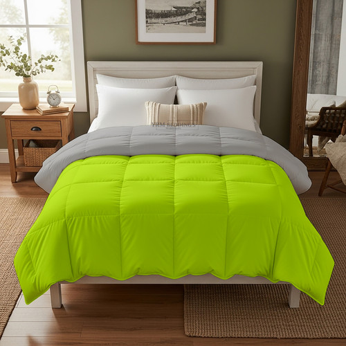 PArrot Silver (8).jpg