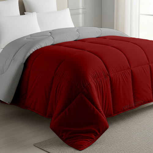 Burgundy Silver (14).jpg