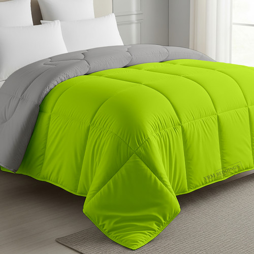 PArrot Silver (14).jpg