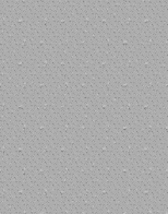 00 (6).png