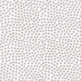 00 (9)