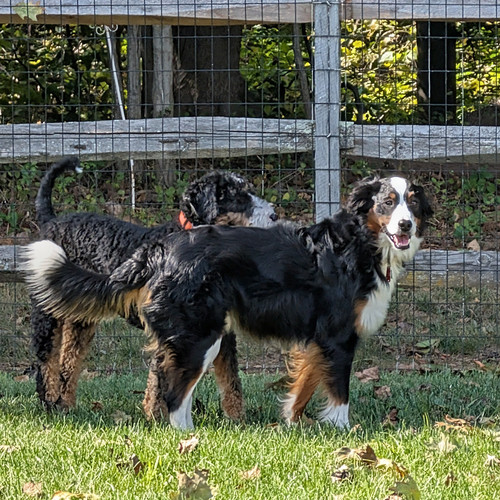 80c7d5e2 add5 41df a2b2 18ce9e8391d3 1 all 21665.jpg