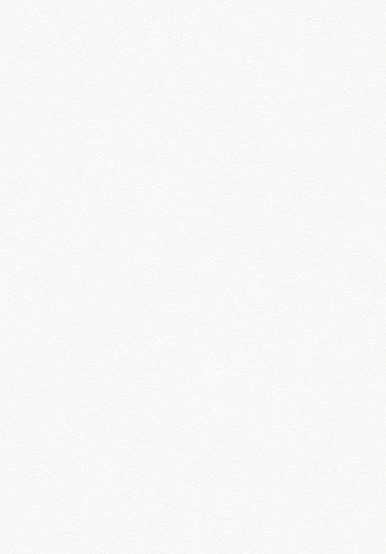 00 (38).png