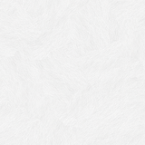 00 (40)