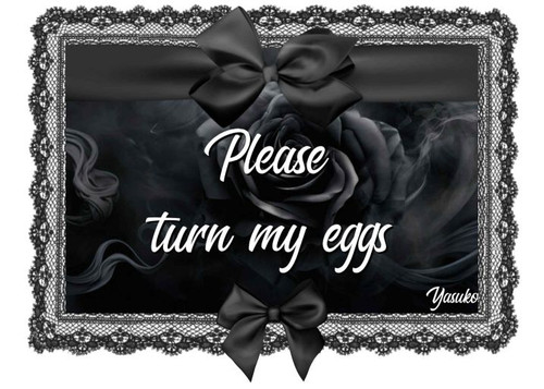 ee415ea0 baa6 4903 9635 74d0172dcc21.jpg