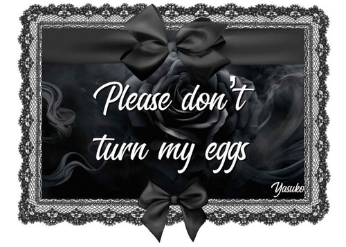 12b27fbd 1bcc 41b3 923e 09e373b63b18 (1).jpg